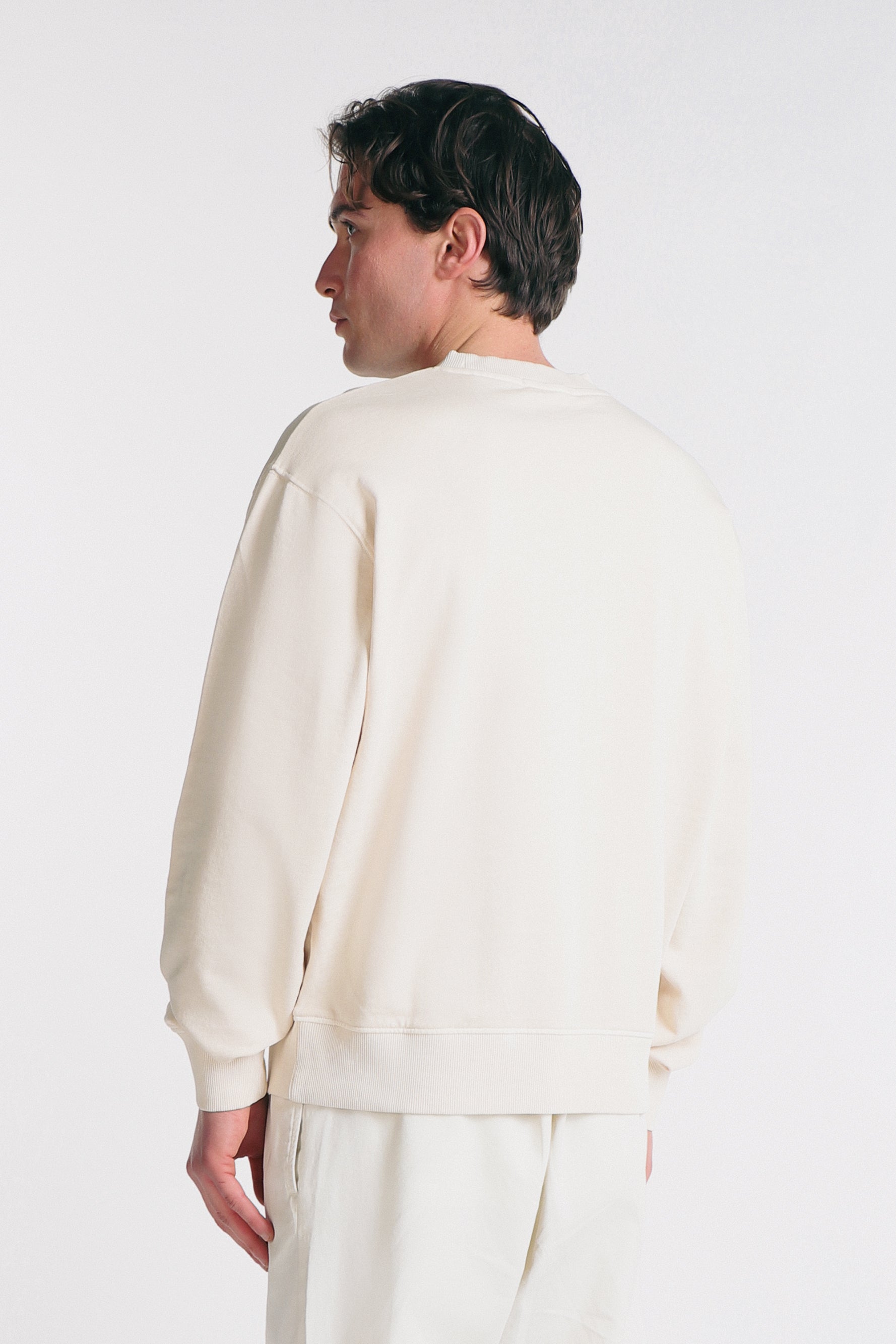 FELPA GIROCOLLO ACID WASH BEIGE CHIARO