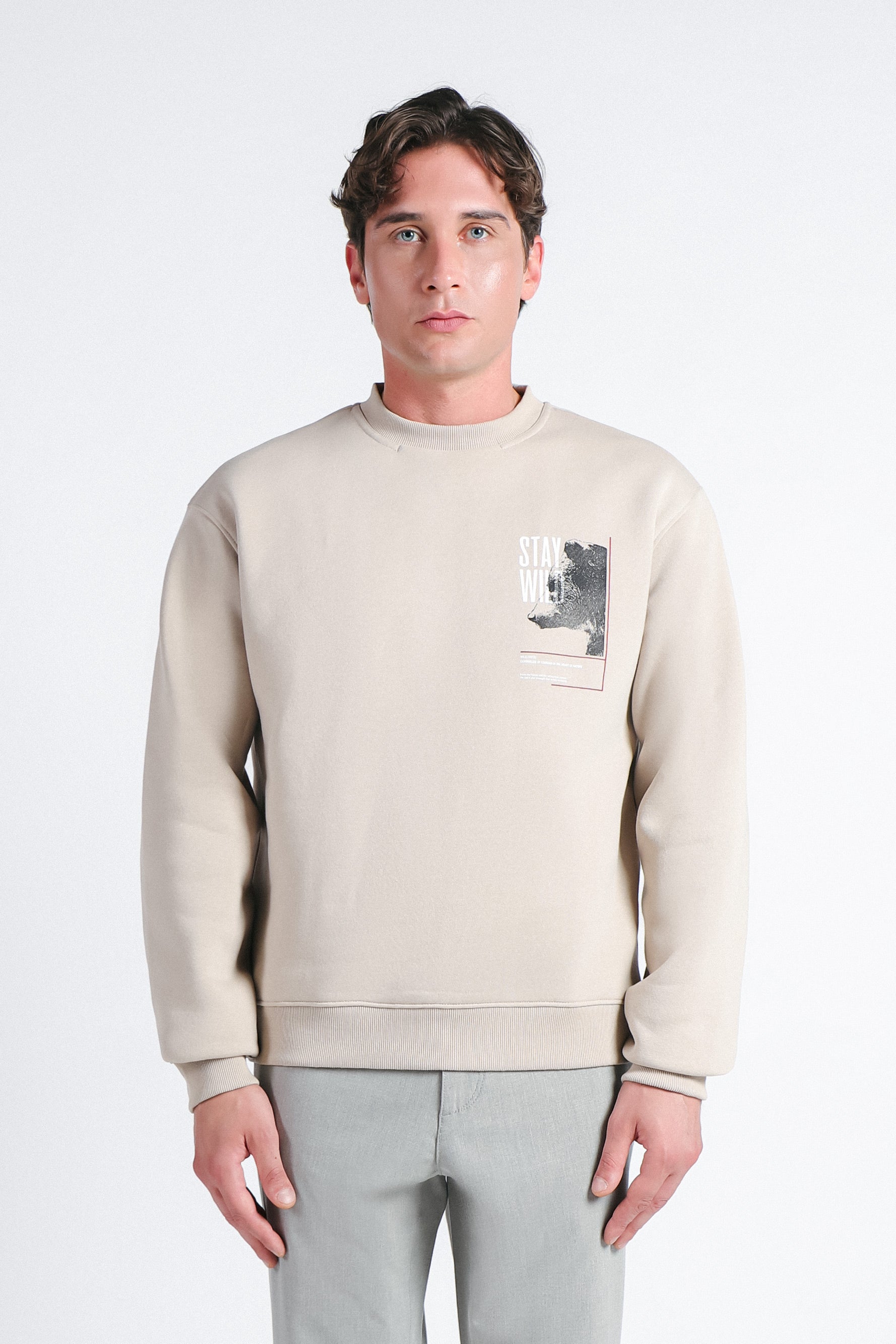 FELPA GIROCOLLO CON STAMPA BEIGE