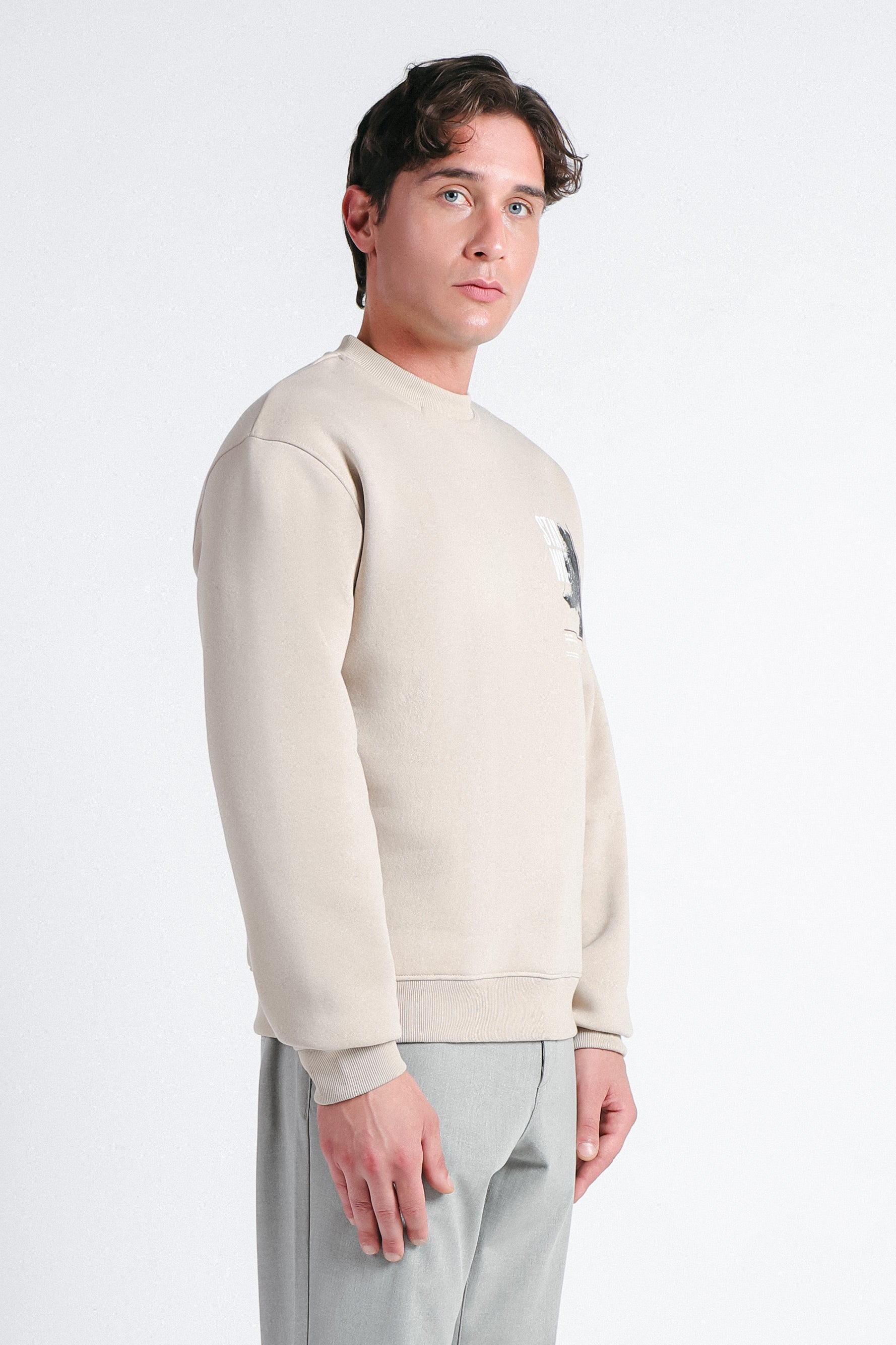 FELPA GIROCOLLO CON STAMPA BEIGE